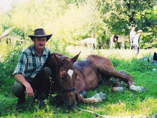 RAJDY KONNE Украина экспедиции экскурсии лошади конный туризм