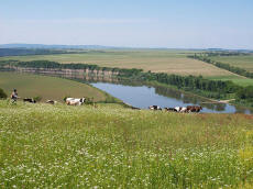 RAJDY KONNE Украина экспедиции экскурсии лошади конный туризм