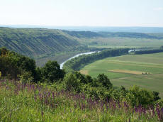 RAJDY KONNE Украина экспедиции экскурсии лошади конный туризм
