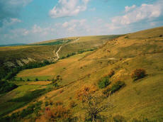 RAJDY KONNE Украина экспедиции экскурсии лошади конный туризм