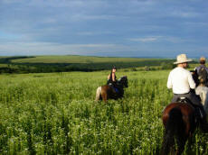 RAJDY KONNE Украина экспедиции экскурсии лошади конный туризм