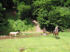 RAJDY KONNE Украина экспедиции экскурсии лошади конный туризм