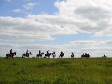 RAJDY KONNE Украина экспедиции экскурсии лошади конный туризм